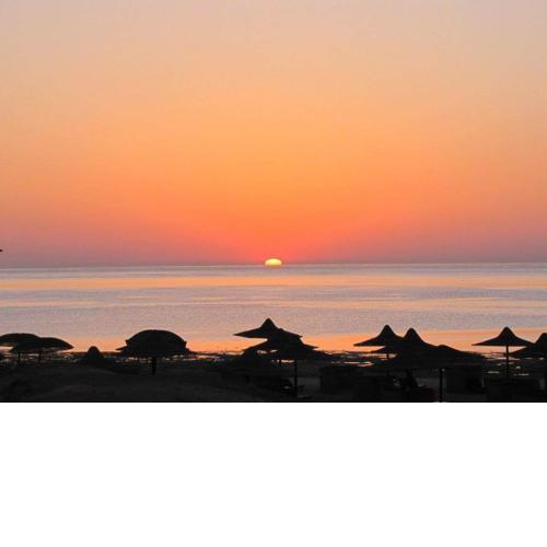 Estudio, Playa de Denia