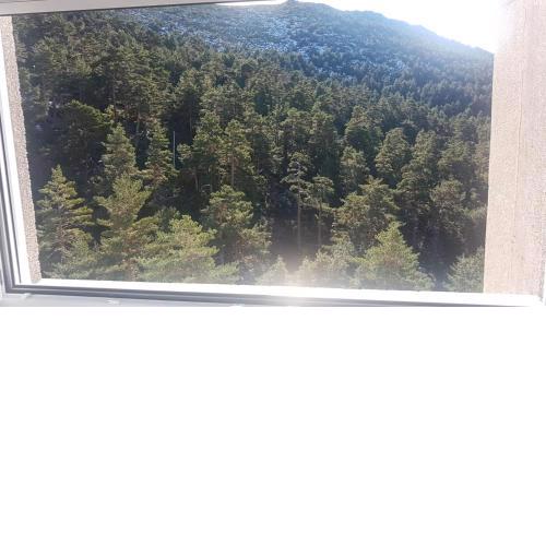 Estudio romántico en Puerto De Navacerrada