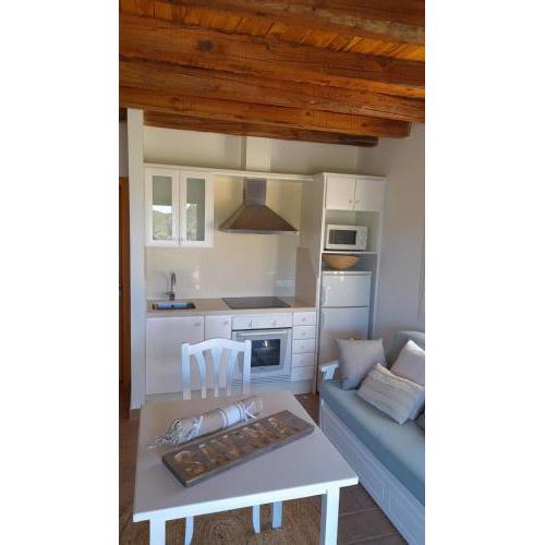 Estudio SAVINA