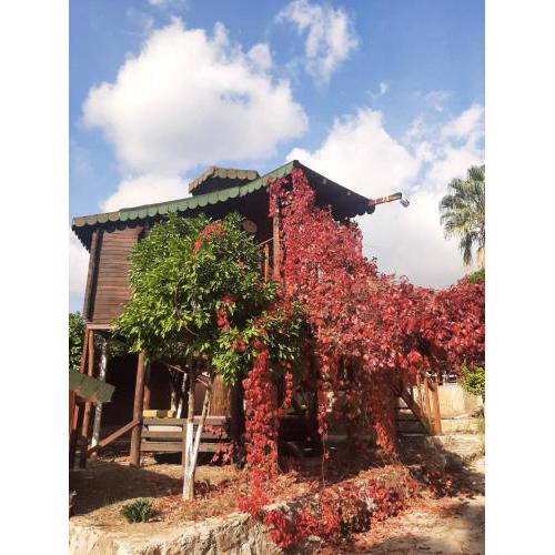 ESVİDA ARZUM BUNGALOW