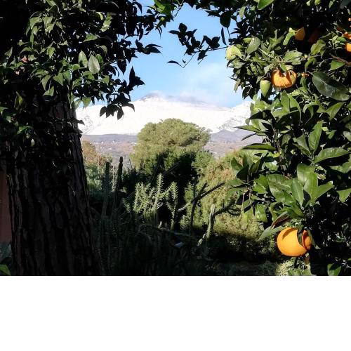 ETNA MARE Jonio