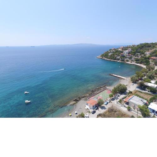 Euripidean View