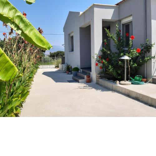 Eva's place