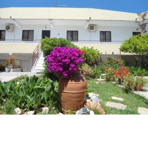 Evi Apartments And Studios