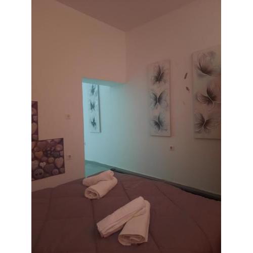 EVIS ROOMS