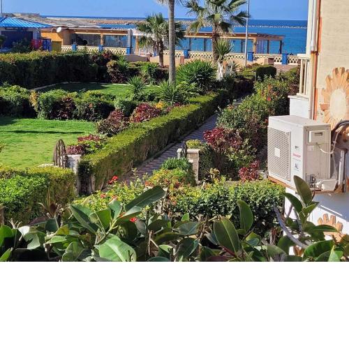 Excellent location sea view super Lux موقع متميز المعموره الشاطىء و كبير الحجم للعائلات فقط سوبر لوكس مع مع كارنيهات بوابه الدخول و الشاطىء خدمه نزلاء متوفره 24ساعه للعمل على راحه النزلاء و تلبيه رغباتهم اليوميه للعائلات فقط