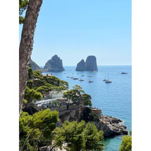 Exceptionnel pieds dans l'eau