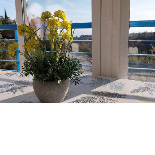Exclusive apartamento chilches