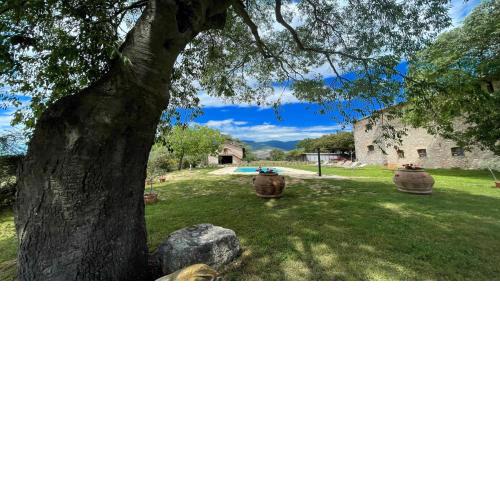 Exclusive Pool-open All Year-spoleto Biofarm-slps 8-village shops, bar1 km 6