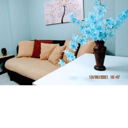 Exrcheia's comfort stay