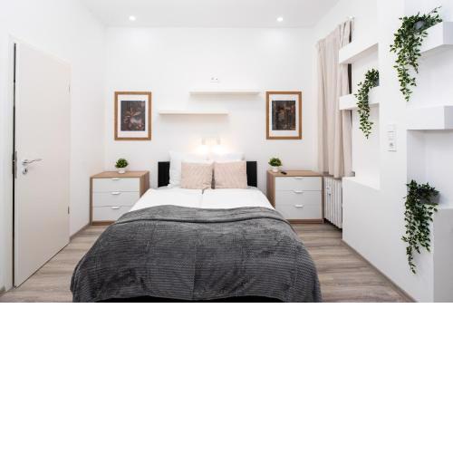 Extra central - NEW - Charming Studio