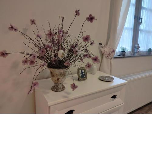 Ezüst Boróka Apartman