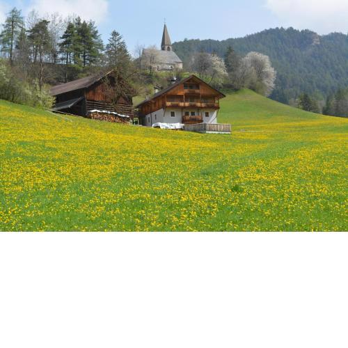 Fallerhof