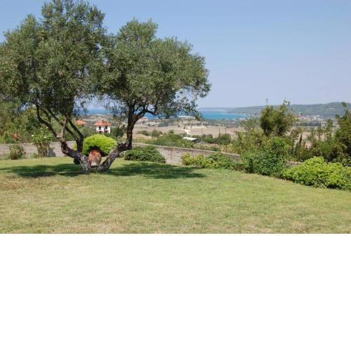 Family 5-bdrm villa with sea views on private land