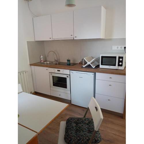 family apartman (four person)