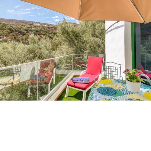 FAMILY COTTAGE AMONG OLIVE TREES