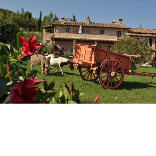 Farm stay Il Carro del Colle