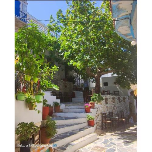 Fasolas house 2 is located 30 stairs up from the main road and it is in the old market fasolas and next to the museums