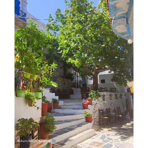 "Fasolas square house" is located 30 stairs up from the main road and it is in the old market "fasolas" and next to the museums