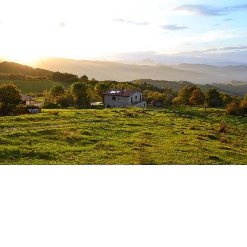Fattoria Bio L'A Ceccoli