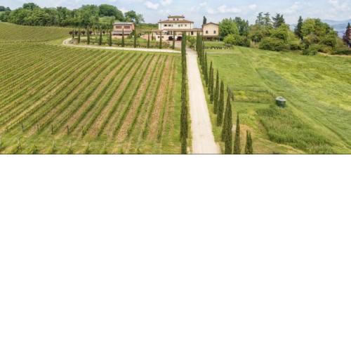 Fattoria Casagrande