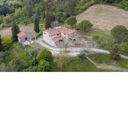 Fattoria di Cintoia