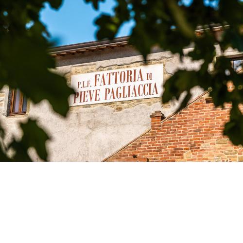 Fattoria di Pieve Pagliaccia