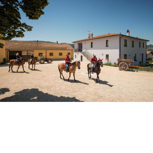 Fattoria Didattica La Collina Incantata