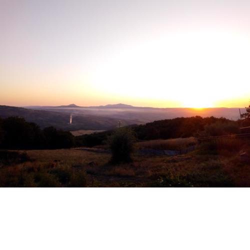 Fattoria il Pigelleto
