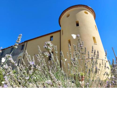Fattoria La Campigliola