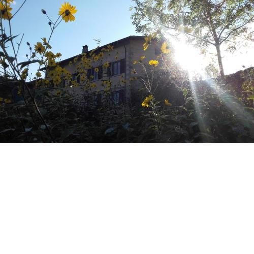 Fattoria La Guedrara
