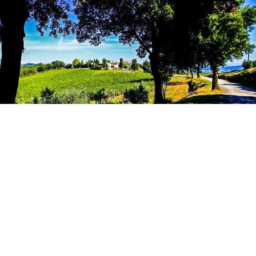 Fattoria La Torre