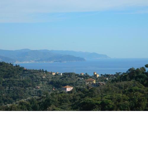Fattorialmare Gialla