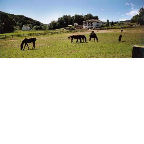 Favetto Family Ranch