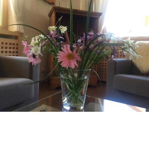 Fedaia Joy B&B