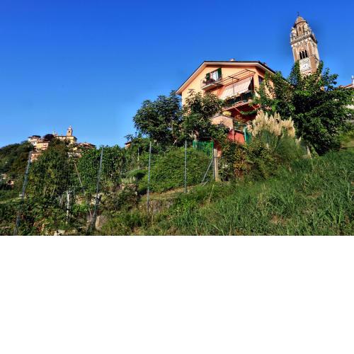 Felicin - Villa Stella