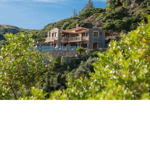 Felini Palace