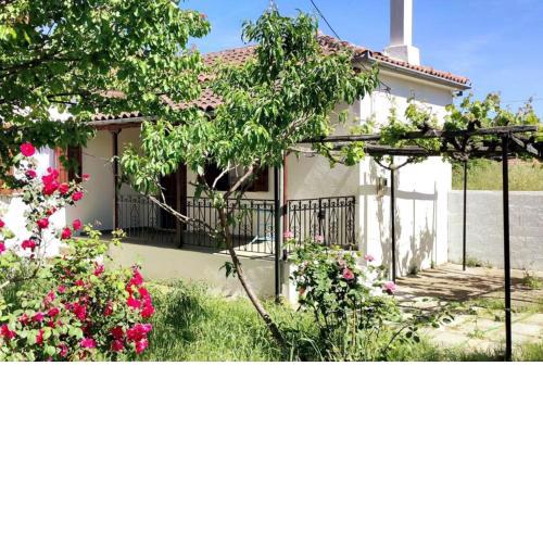 Feli's country house