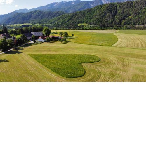 Ferien am Land - WALDBAUER