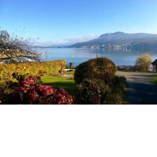 Ferienappartement Bellevue Wörthersee - Vierbeiner herzlich willkommen - privater Seezugang