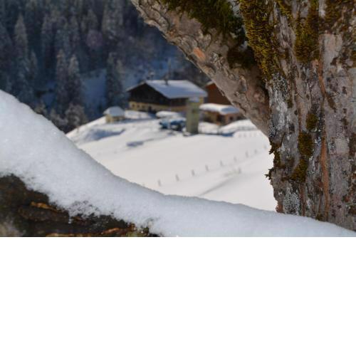 Ferienbauernhof Elmaugut