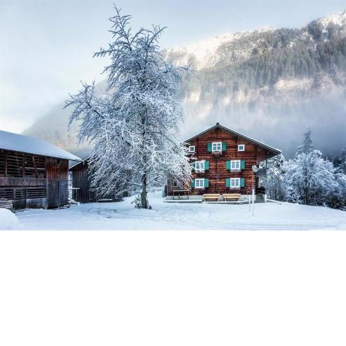 Ferienhaus Bergfrieden