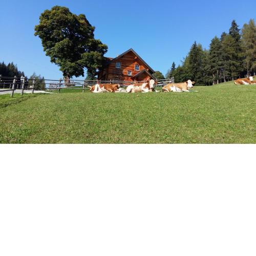 Ferienhaus Bichlhütte