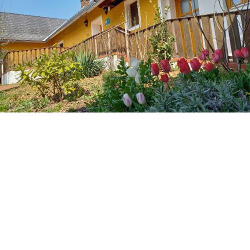Ferienhaus Bioeck