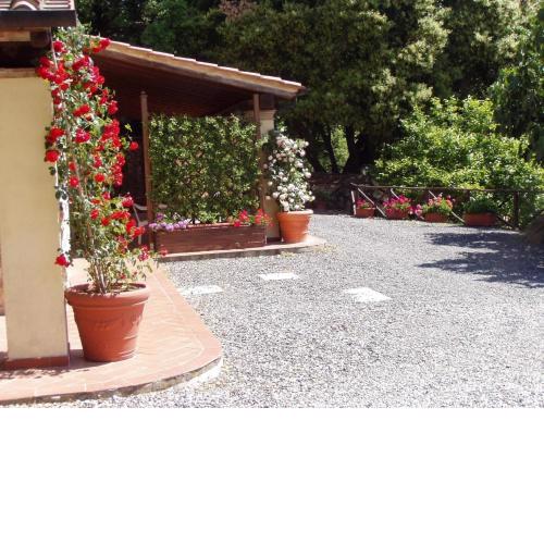 Ferienhaus für 4 Personen 1 Kind ca 90 m in Monteverdi Marittimo, Toskana Etruskische Küste