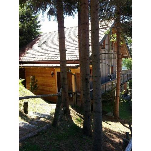 Ferienhaus für 6 Personen ca 98 m in Klippitztörl, Kärnten Saualpe