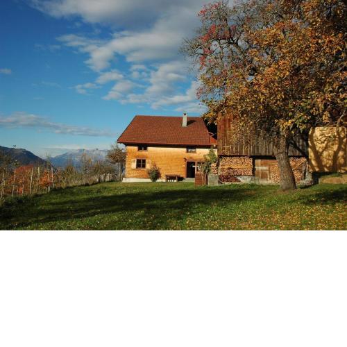 Ferienhaus für 9 Personen ca 150 m in Dünserberg, Vorarlberg