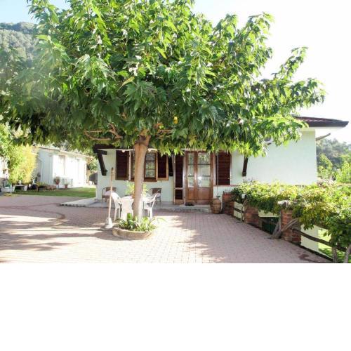 Ferienhaus in ruhigen Lage Schöne Terrasse mit Ausblick