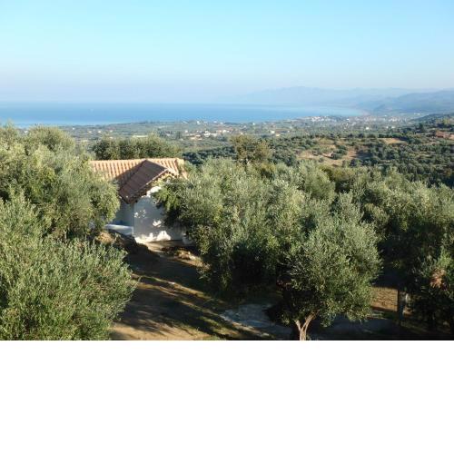 Ferienhaus Olive Garden
