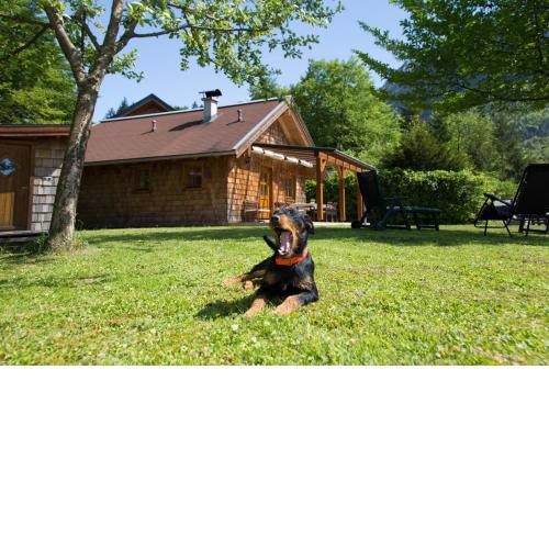 Ferienhaus Salzkammergut
